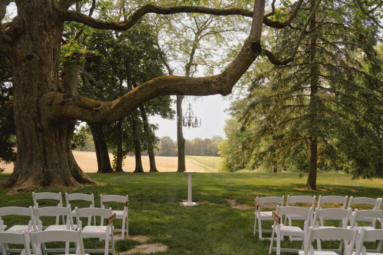 Nalani and Gavin | A Ceremony Beneath the Summer Canopy